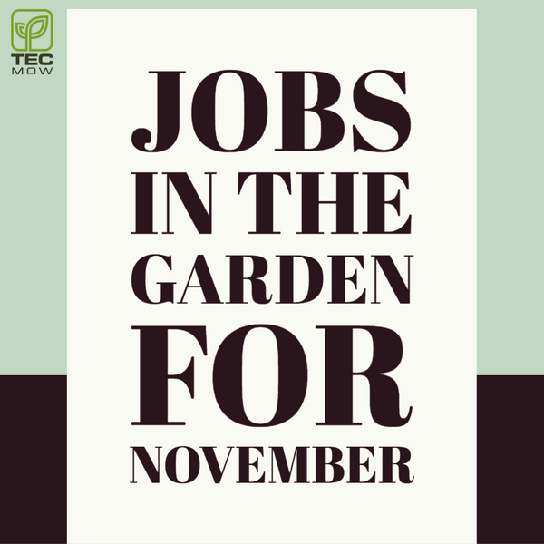 Gardening Jobs in November